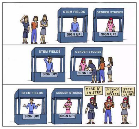 STEM vs gender studies.